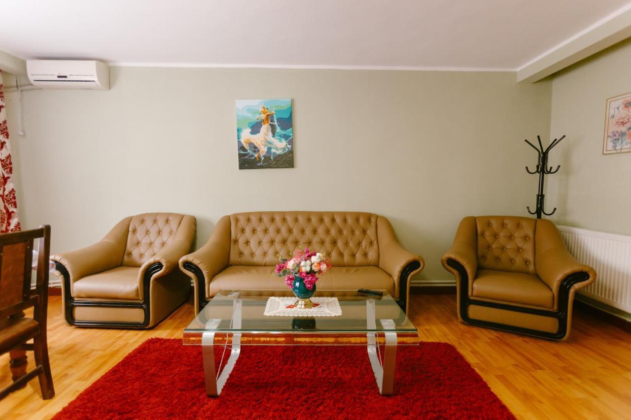 Pensiunea Luka Slănic-Moldova エクステリア 写真